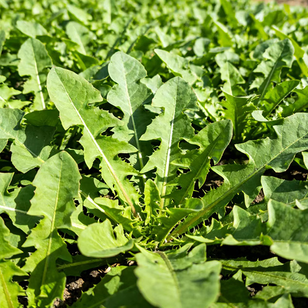 b27a2329961063cabb582b5fb3ccccc.jpg b27a2329961063cabb582b5fb3ccccc.jpg