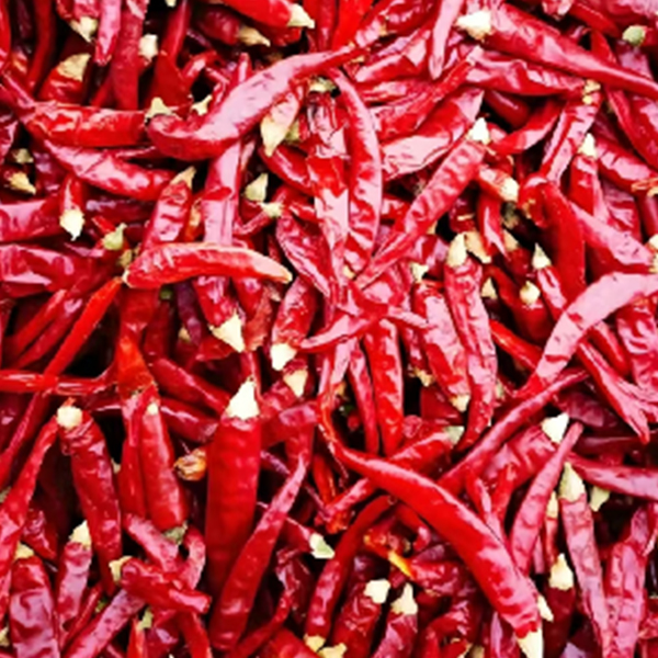 Red Chili