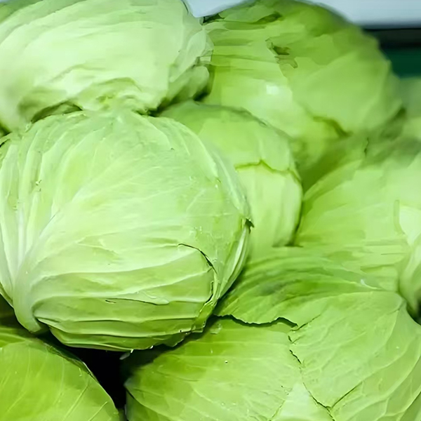 Cabbage