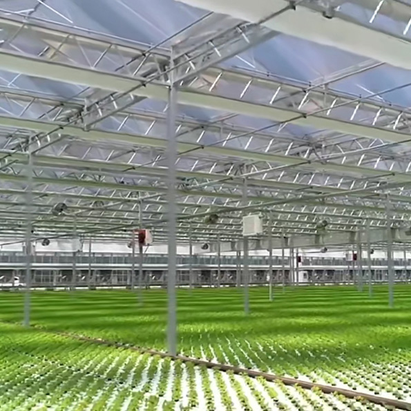 Vegetable planting factory