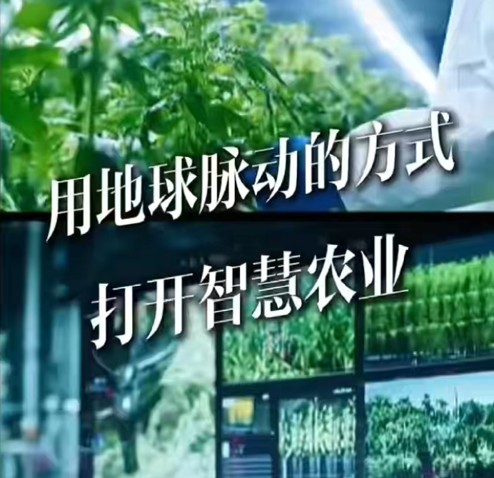 Agricultural planting factory